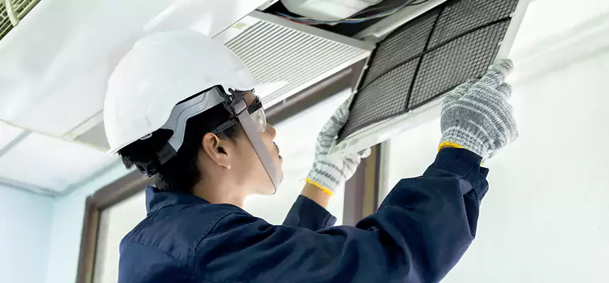 Our Mold & Mildew Removal from Air Ducts Services in Sterling Heights, MI