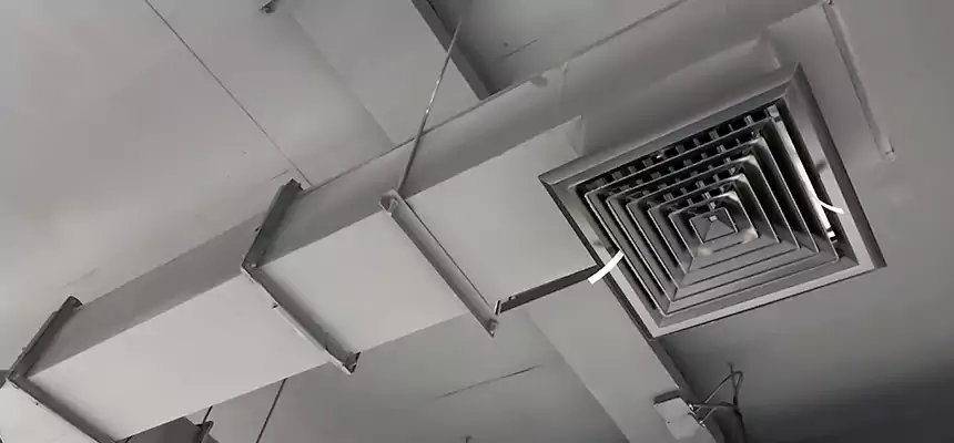 Our Rodent Droppings In Vents Services in Sterling Heights, MI