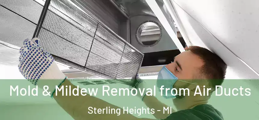  Mold & Mildew Removal from Air Ducts Sterling Heights - MI