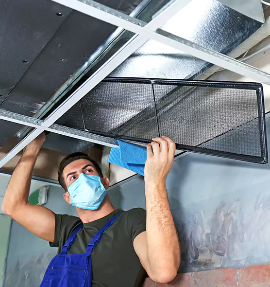 About Air Duct Bacteria Removal in Sterling Heights