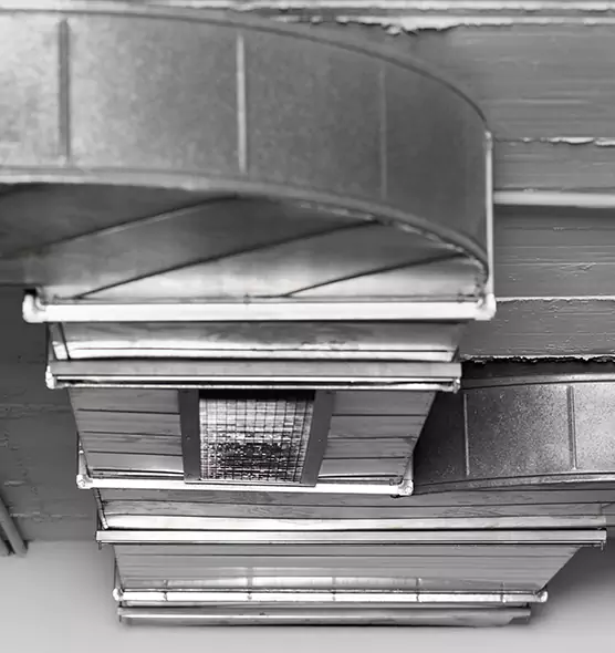 Professional Air Duct Pest Removal in Sterling Heights, MI