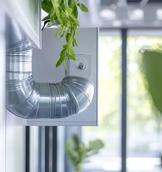 Professional Eco-Safe Dryer Vent Cleaning in Sterling Heights, MI