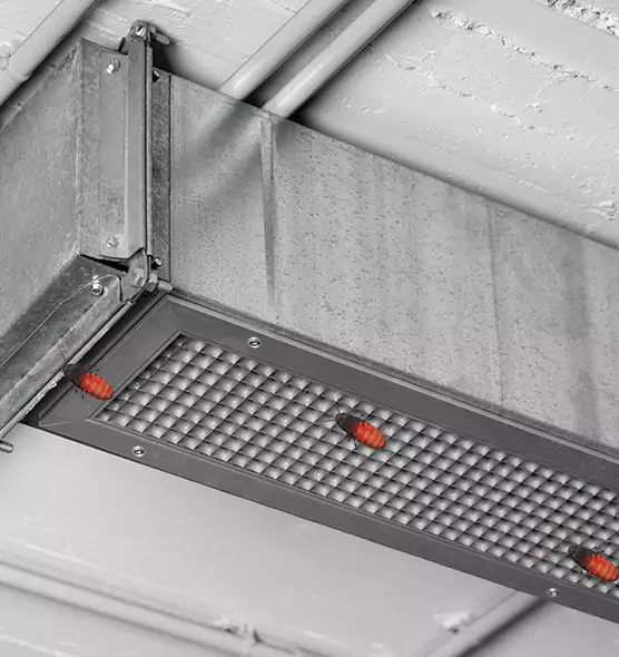 Affordable Insect Removal from Air Ducts in Sterling Heights, MI