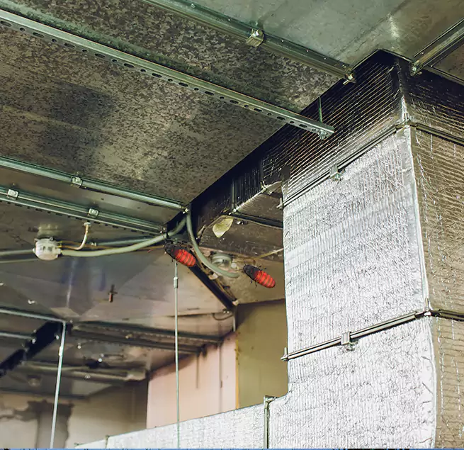 Why Homeowners & Businesses Trust Us Sterling Heights, MI?